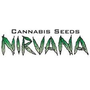 Nirvana seeds